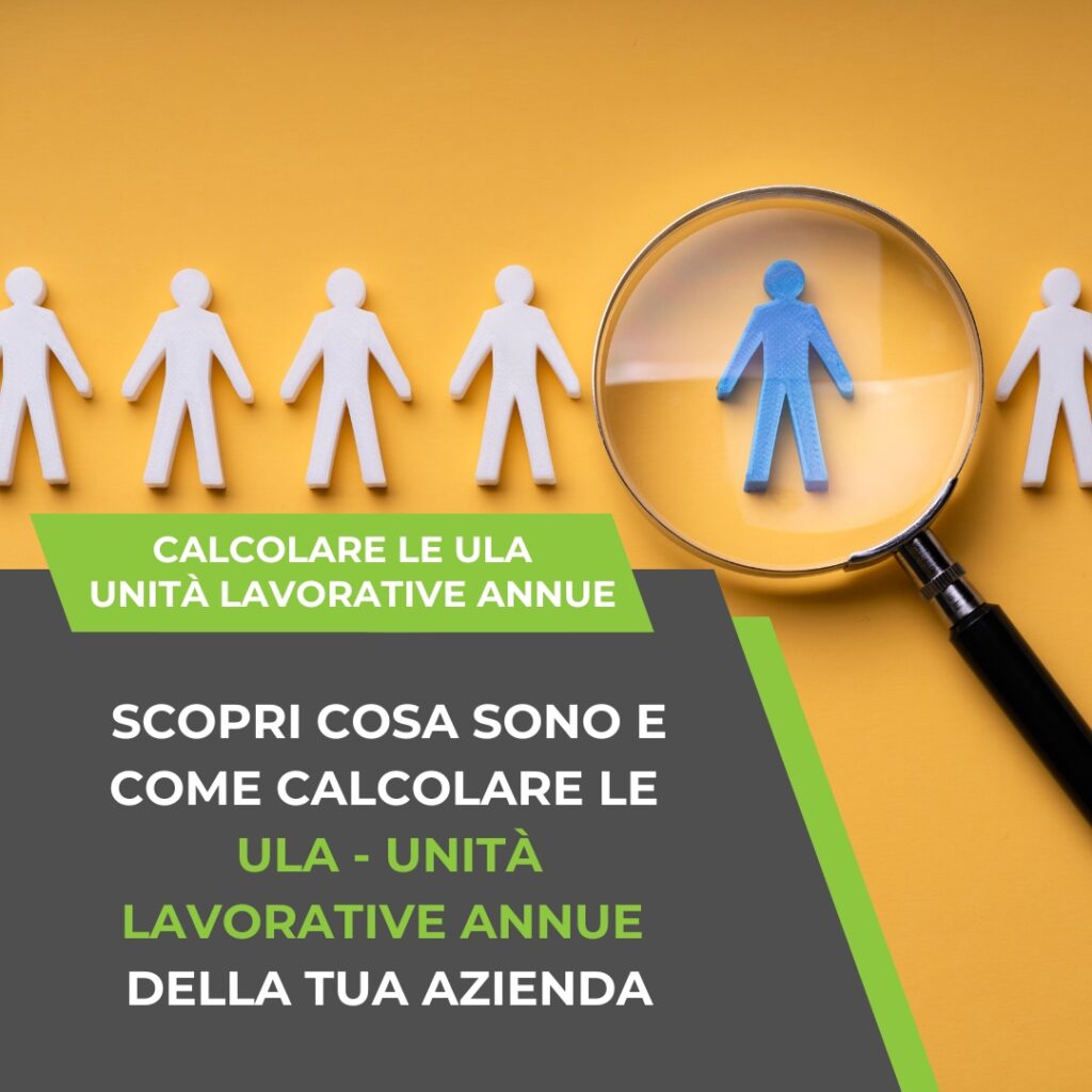 Isinet Consulting Immagine che illustra il calcolo delle unità lavorative annuali con figure stilizzate.