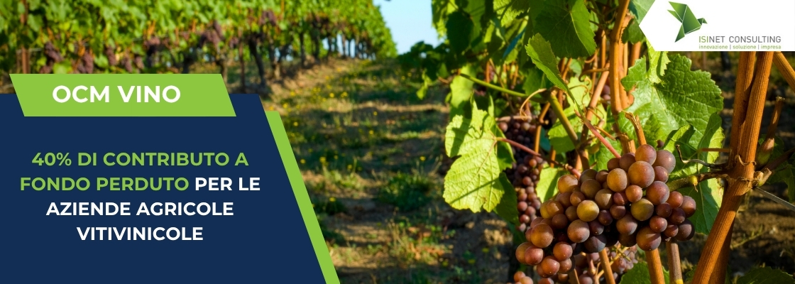 contributo a fondo perduto OCM Vino per aziende agricole vitivinicole